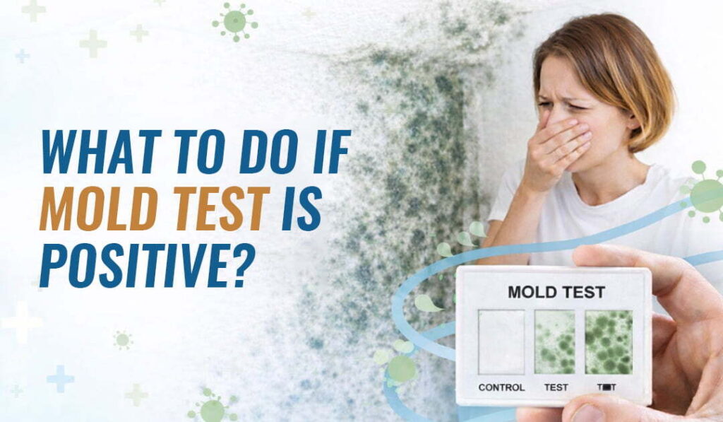 what to do if mold test is positive ? blog banner