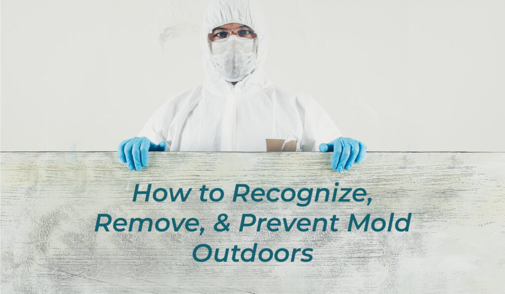How to Recognize, Remove, and Prevent Mold Outdoors blog banner