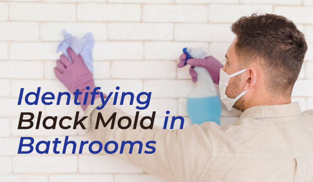 Identifying Black Mold in Bathroom blog banner