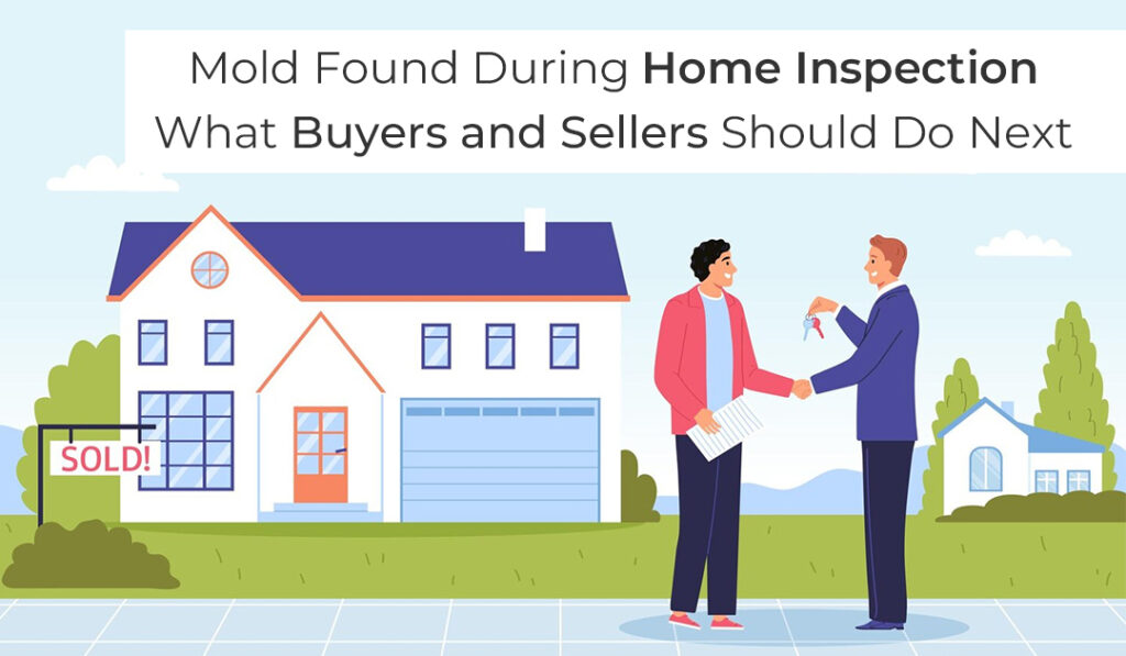 Mold Found During Home Inspection: What Buyers and Sellers Should Do Next blog banner
