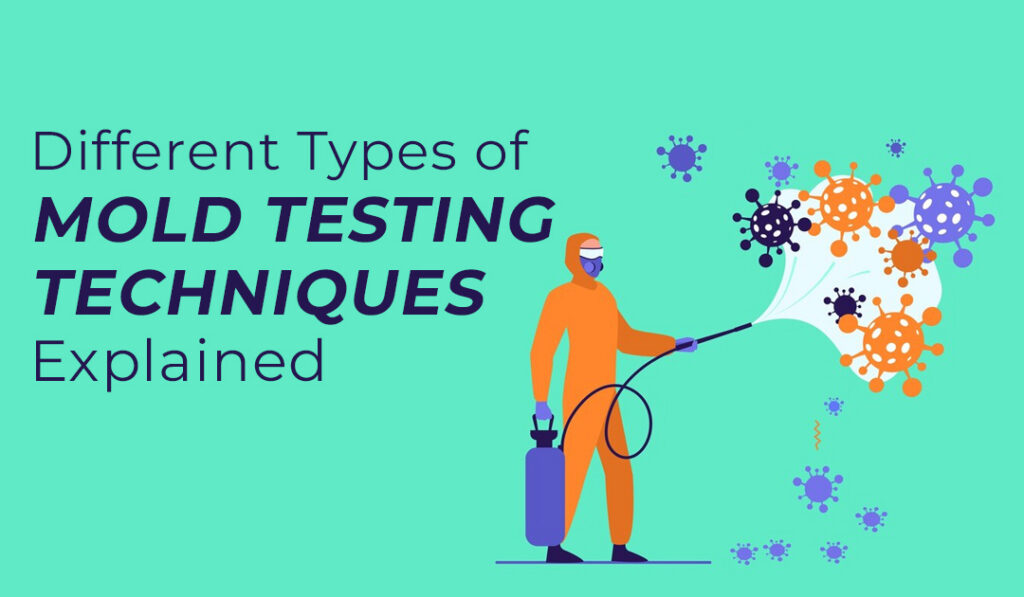 Different Types of Mold Testing: Which One Do You Need? blog banner